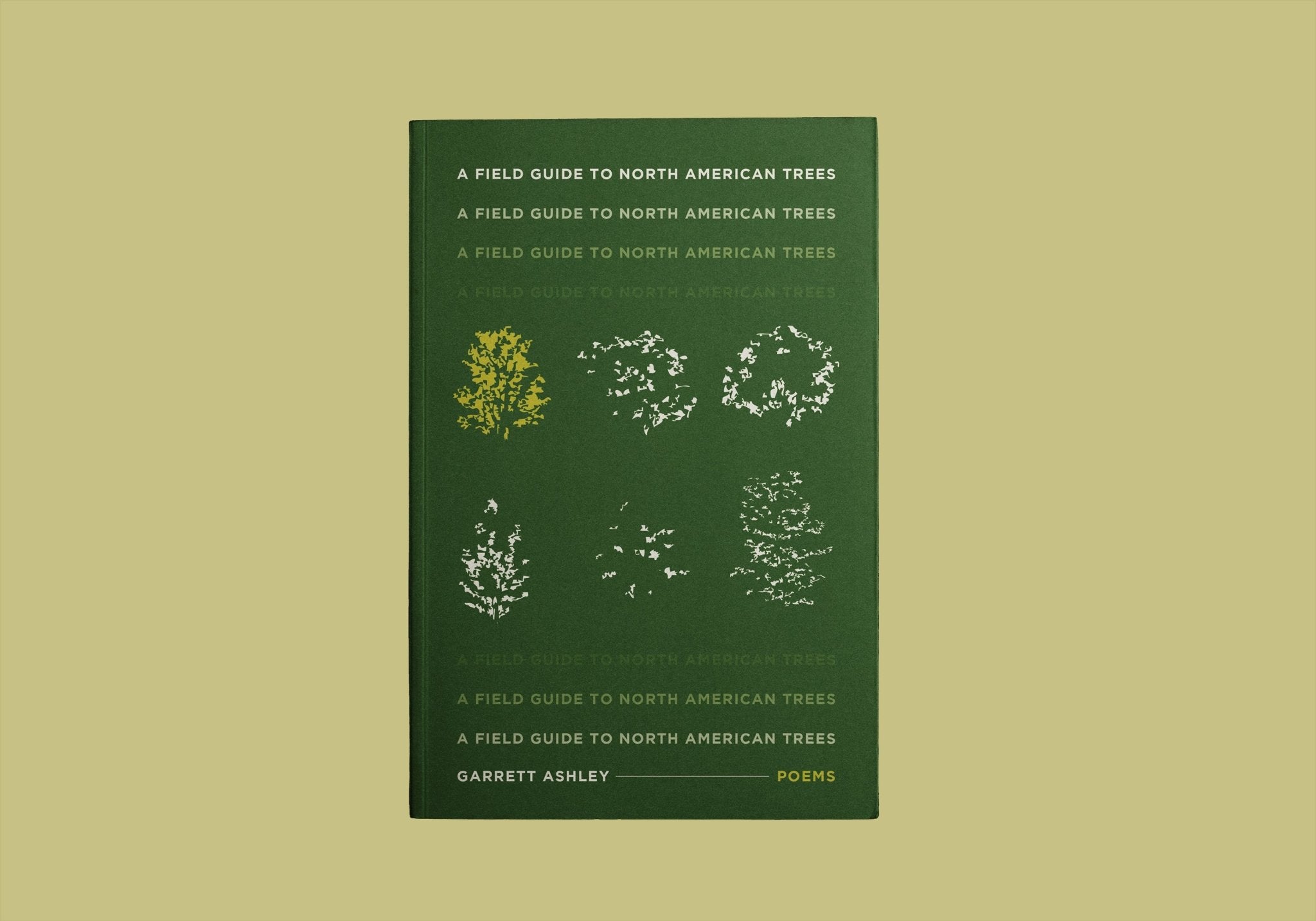 A Field Guide to North American Trees – Loblolly Press