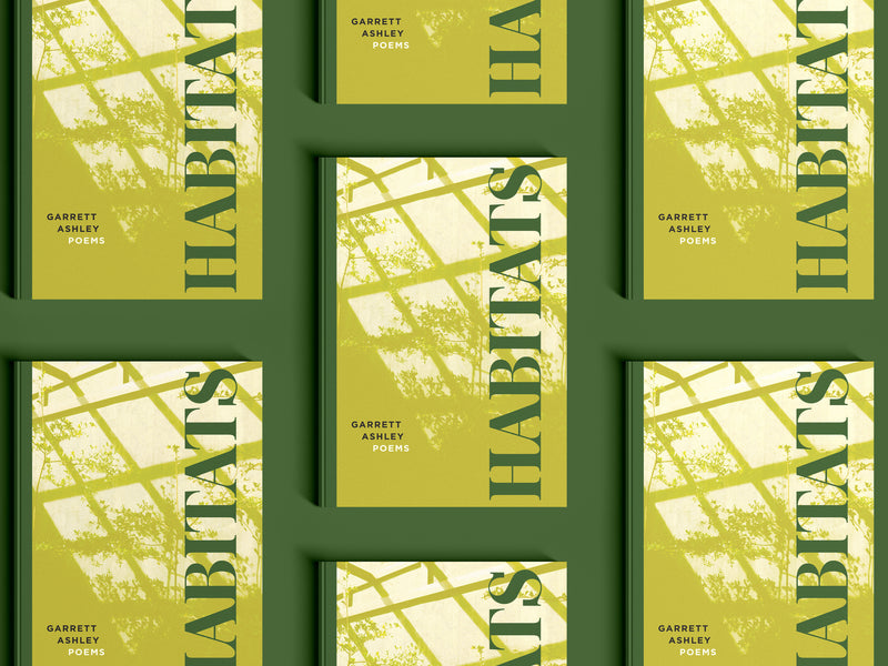 Southern pine forest