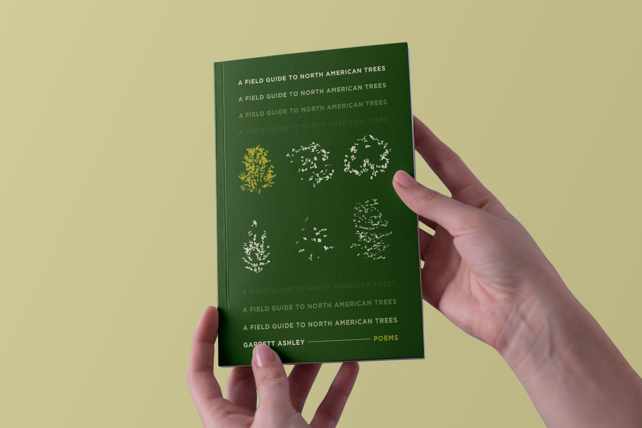 A Field Guide to North American Trees by Garrett Ashley | Loblolly