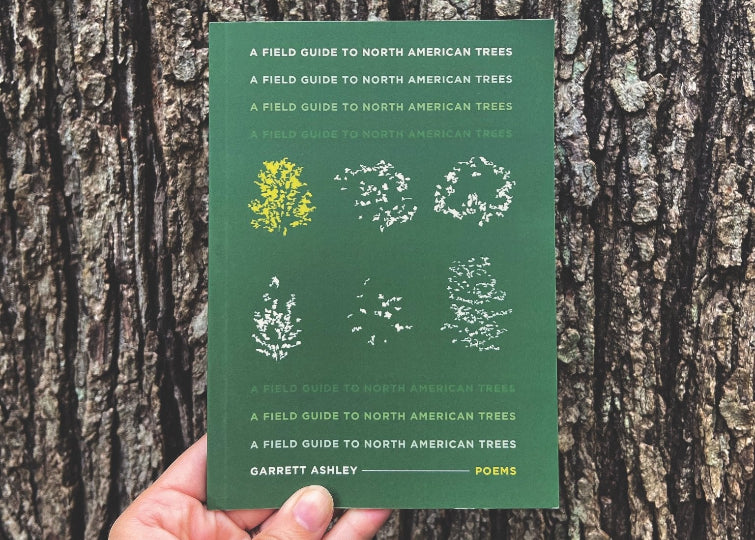 A Field Guide to North American Trees by Garrett Ashley | Loblolly