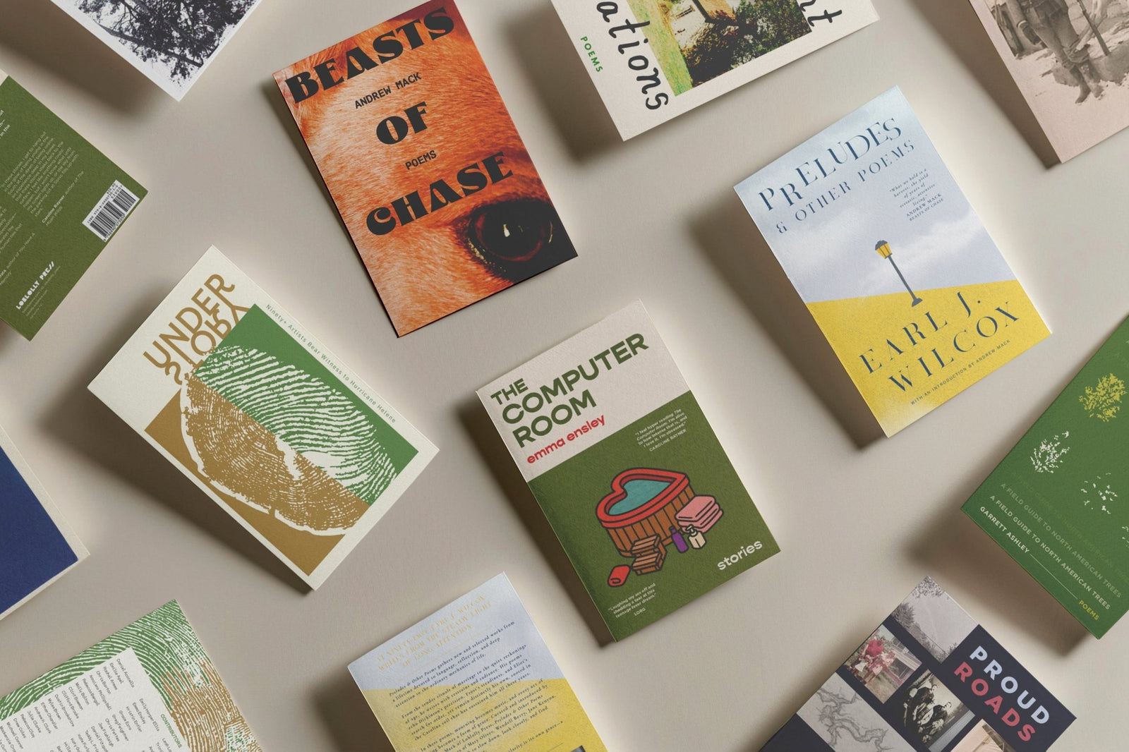 Loblolly Press The 2025 Collection book featuring a colorful cover with artistic design and typography.