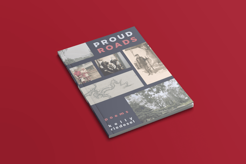 Proud Roads: Poems in the Aftermath of Hurricane Helene - Loblolly Press