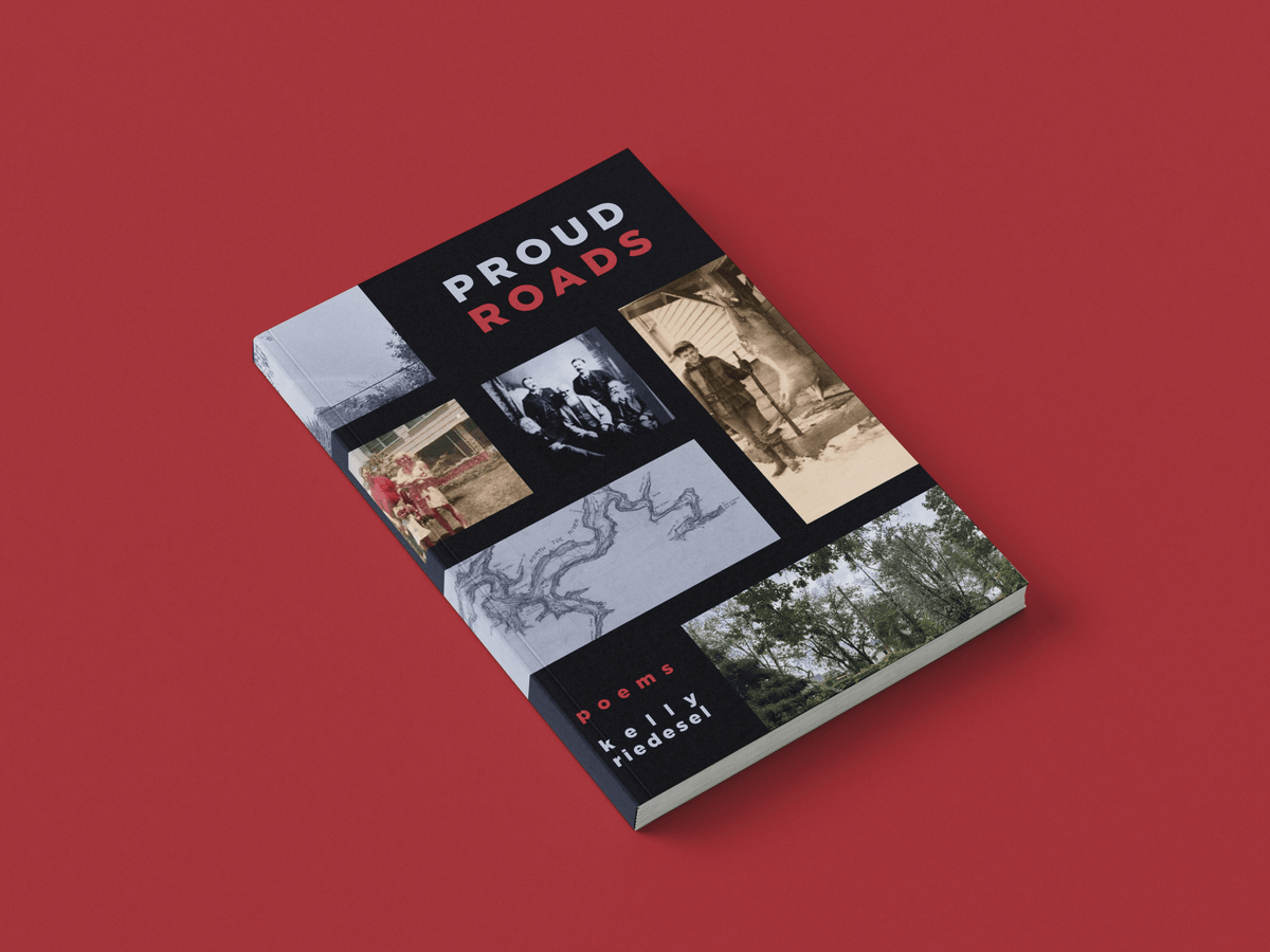 Proud Roads and Understory book bundle by Loblolly Press, featuring two books with colorful covers and artistic designs.