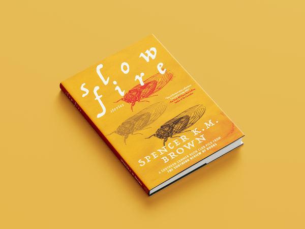 Cover of the book Slow Fire by Loblolly Press featuring abstract artwork and bold typography on the front cover.