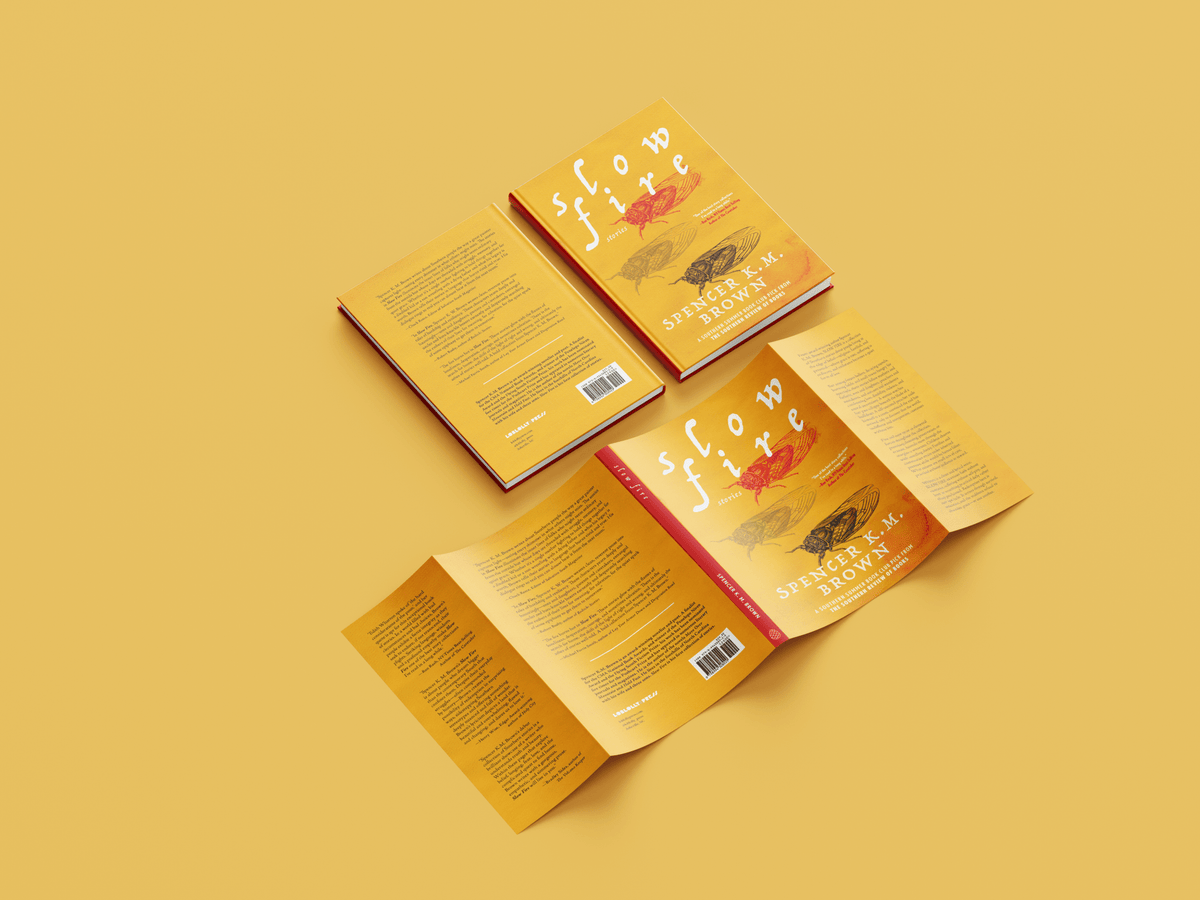 Cover of the book Slow Fire by Loblolly Press, featuring abstract artwork and title text in a minimalist design.