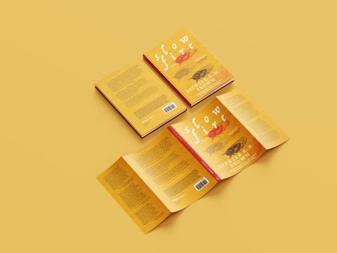 Cover image of the book Slow Fire by Loblolly Press, featuring a textured cover with abstract artwork and bold typography.