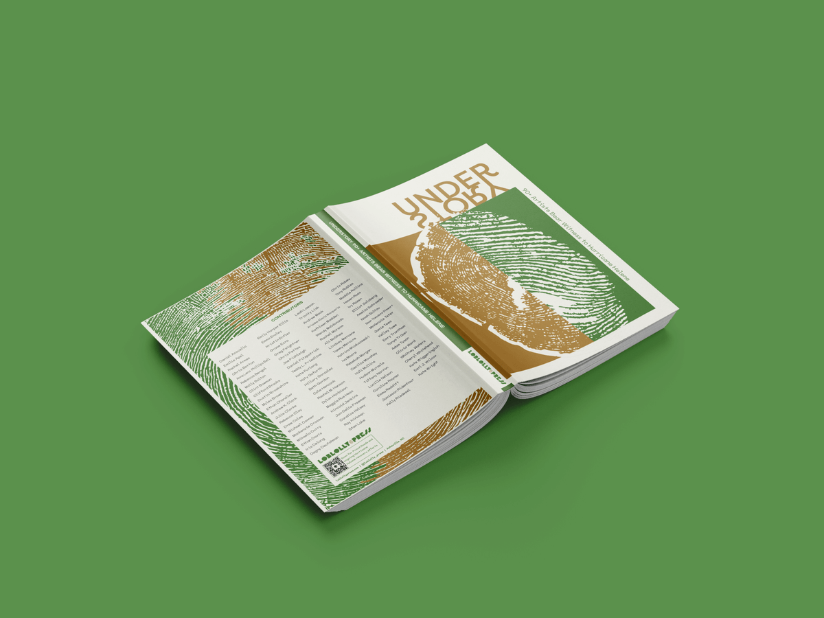 Full-color anthology titled "Understory" by Loblolly Press, featuring artwork and stories related to Hurricane Helene recovery.